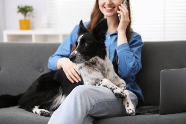 Akıllı telefonuyla gülümseyen kadın ve evdeki kanepede sevimli köpeği, yakın çekim.