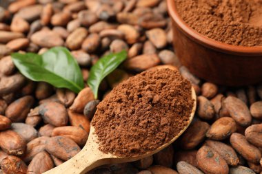 Tahta kaşıkta kakao tozu ve fasulyede yeşil yapraklar, yakın plan.