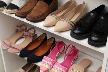 Ayakkabı deposu. Farklı ayakkabı giyimli raf ünitesi, yakın plan.