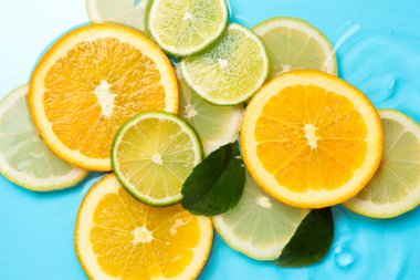 Açık mavi arka planda, sudaki yeşil yapraklar ve turunçgiller düzdü.