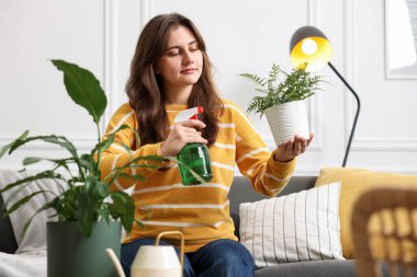 Bir kadın güzel saksı bitkisini suyla ıslatıyor.