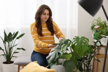 Evde yaprakları silen güzel bir kadın.