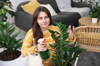 Bir kadın güzel saksı bitkisini suyla ıslatıyor.