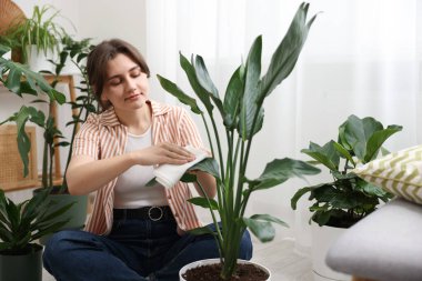 Evde yaprakları silen güzel bir kadın.