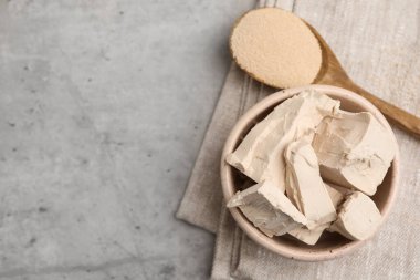 Açık gri masada taze ve kuru maya, üst manzara. Metin için boşluk