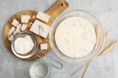 Sıkıştırılmış maya, un, hamur, su ve sivri uçlu çiviler gri masada, düz yerde.