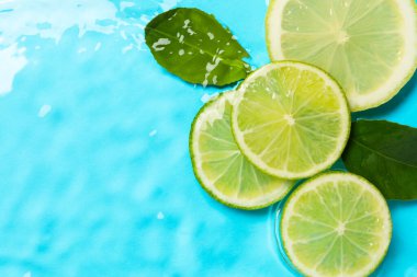 Açık mavi zemin üzerinde yeşil yapraklar ve turunçgil dilimleri. Metin için boşluk