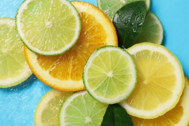 Açık mavi arka planda, sudaki yeşil yapraklar ve turunçgiller düzdü.