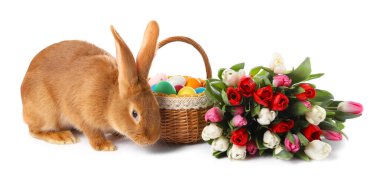 Şirin tüylü Paskalya tavşanı, hasır sepeti boyalı yumurta ve beyaz üzerine izole edilmiş çiçek buketi.