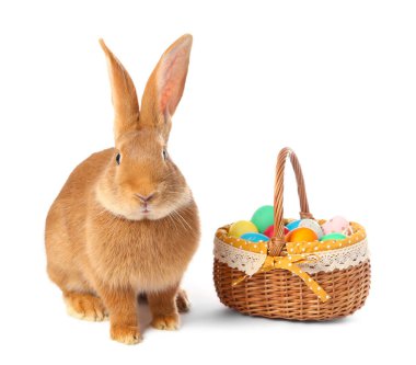 Şirin tüylü Paskalya tavşanı ve hasır sepetli beyaz renkli yumurtalar.
