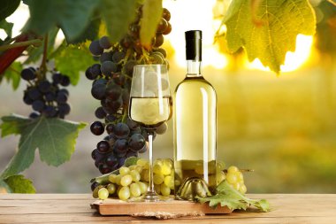 Şarap ve taze üzümler masada. Üzüm bağında cam ve şişe