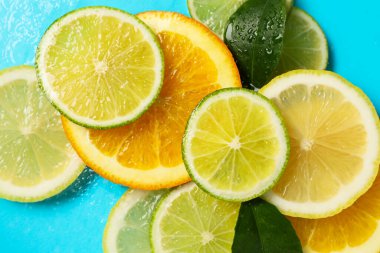 Açık mavi arka planda, sudaki yeşil yapraklar ve turunçgiller düzdü.