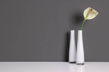 Gri duvarın yanındaki beyaz masada üzerinde zambak olan güzel vazolar. Metin için boşluk