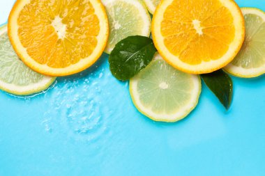 Açık mavi zemin üzerinde yeşil yapraklar ve turunçgil dilimleri. Metin için boşluk