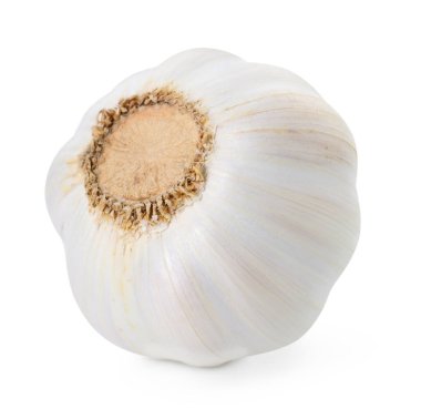 Bir taze sarımsak soğanı beyaza izole edilmiş.