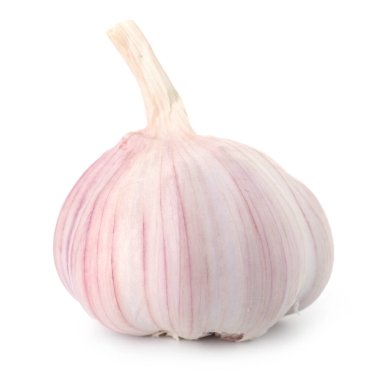 Bir taze sarımsak soğanı beyaza izole edilmiş.