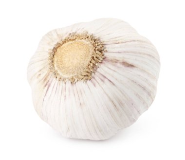 Bir taze sarımsak soğanı beyaza izole edilmiş.