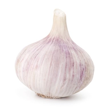 Bir taze sarımsak soğanı beyaza izole edilmiş.