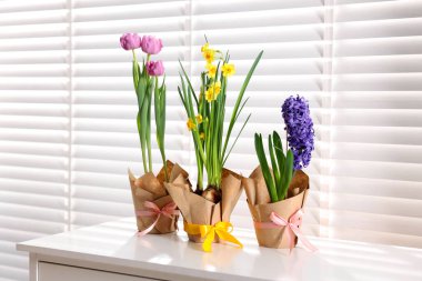 Bir çok güzel bahar çiçekleri kaplarda beyaz şifoniyerlerde