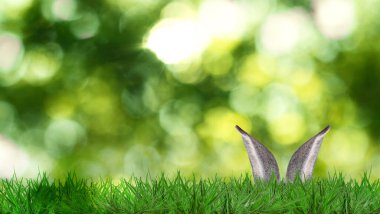 Paskalya tavşanı parlak yeşil çimlerde saklanıyor bulanık arka planda, bokeh etkisi