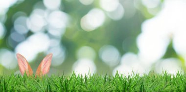 Paskalya tavşanı parlak yeşil çimlerde saklanıyor bulanık arka planda, bokeh etkisi