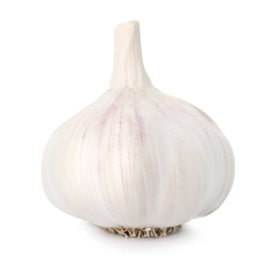 Bir taze sarımsak soğanı beyaza izole edilmiş.