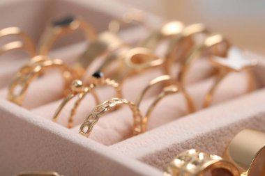 Bej kutuda zarif altın yüzükler, seçici odak