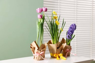 Bir çok güzel bahar çiçekleri kaplarda beyaz şifoniyerlerde