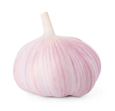 Bir taze sarımsak soğanı beyaza izole edilmiş.