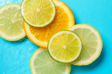 Deniz aygırı açık mavi zeminde suyu keser, düz yatar.