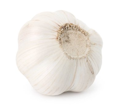 Bir taze sarımsak soğanı beyaza izole edilmiş.