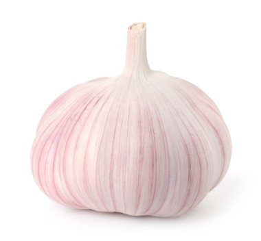 Bir taze sarımsak soğanı beyaza izole edilmiş.