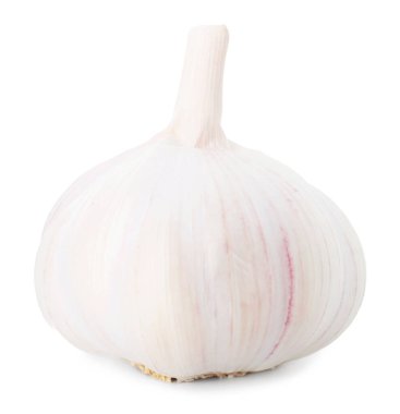 Bir taze sarımsak soğanı beyaza izole edilmiş.