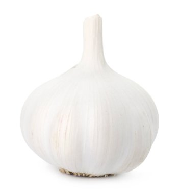 Bir taze sarımsak soğanı beyaza izole edilmiş.