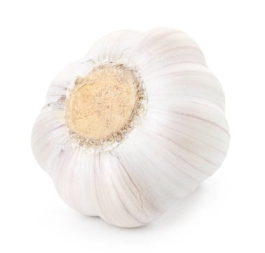 Bir taze sarımsak soğanı beyaza izole edilmiş.