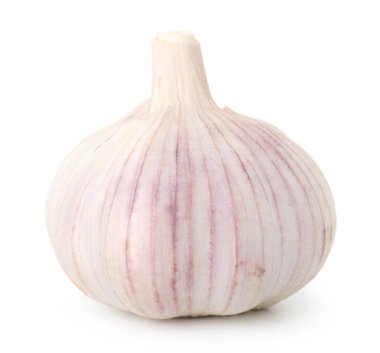 Bir taze sarımsak soğanı beyaza izole edilmiş.