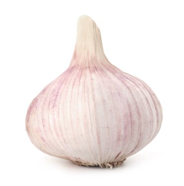 Bir taze sarımsak soğanı beyaza izole edilmiş.