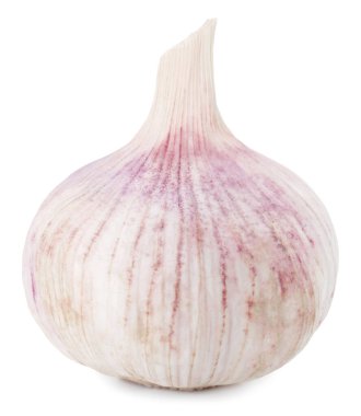 Bir taze sarımsak soğanı beyaza izole edilmiş.