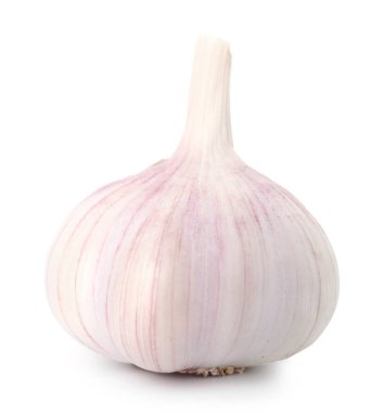 Bir taze sarımsak soğanı beyaza izole edilmiş.