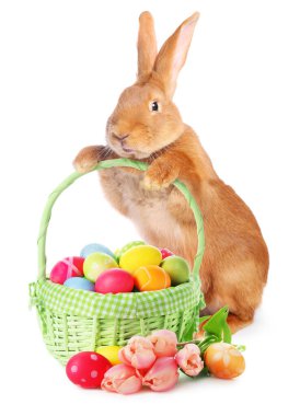 Paskalya tavşanı ve hasır sepeti. Beyaz arka planda boyanmış yumurtalar.