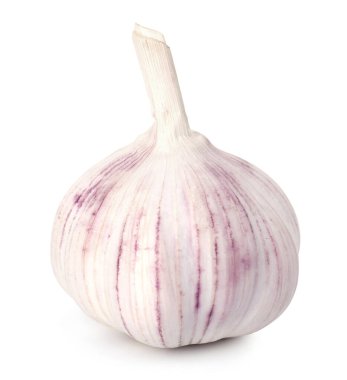 Bir taze sarımsak soğanı beyaza izole edilmiş.