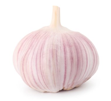 Bir taze sarımsak soğanı beyaza izole edilmiş.