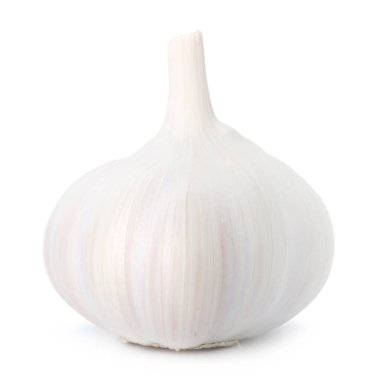 Bir taze sarımsak soğanı beyaza izole edilmiş.