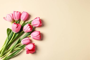 Bej arka planda pembe laleler, üst manzara. Metin için boşluk