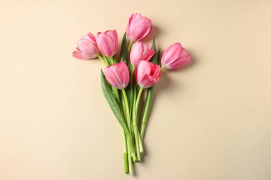 Bej arka planda pembe laleler, üst manzara.