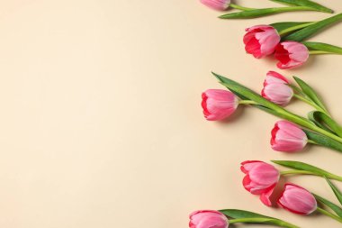 Bej arka planda güzel pembe laleler, düz yatış. Metin için boşluk