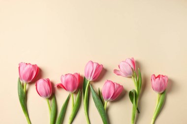 Bej arka planda güzel pembe laleler, düz yatış. Metin için boşluk