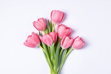 Beyaz arka planda pembe laleler, üst manzara.