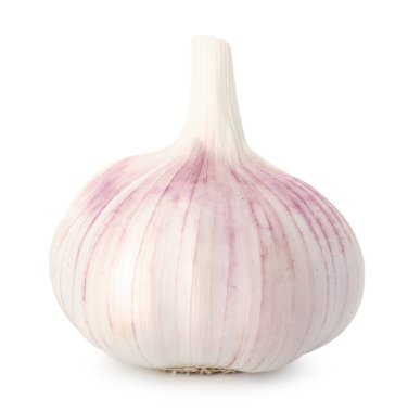 Bir taze sarımsak soğanı beyaza izole edilmiş.