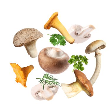 Farklı mantarlar, maydanoz ve dereotları beyaz arka planda havada uçuşuyor.